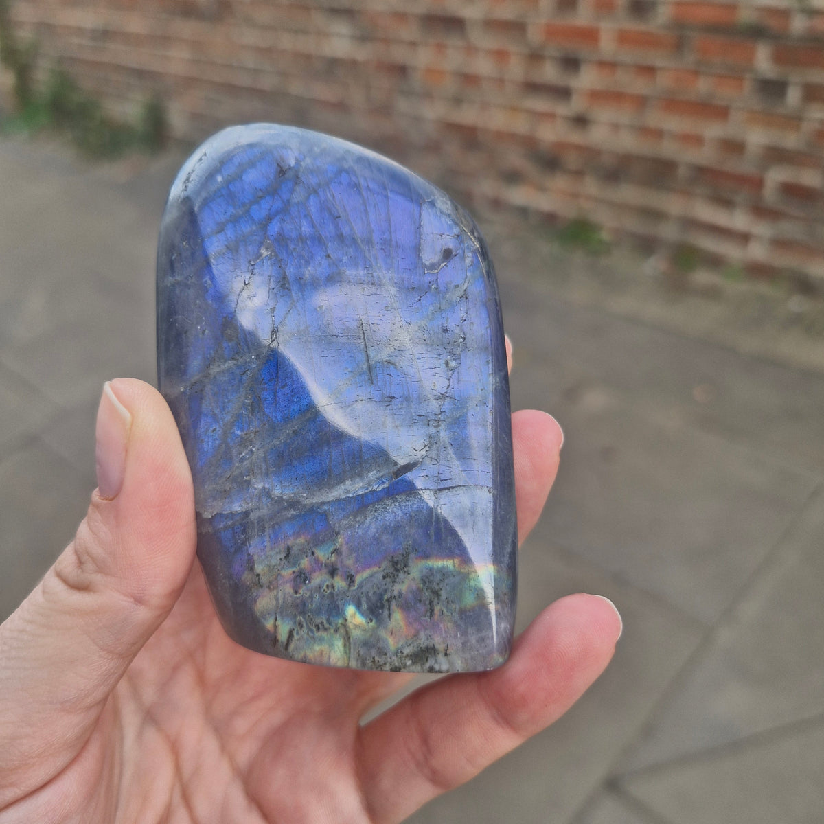 Labradorite freeform Blue/Purple Yellow/Green Flash - 263g 7.8cm tall