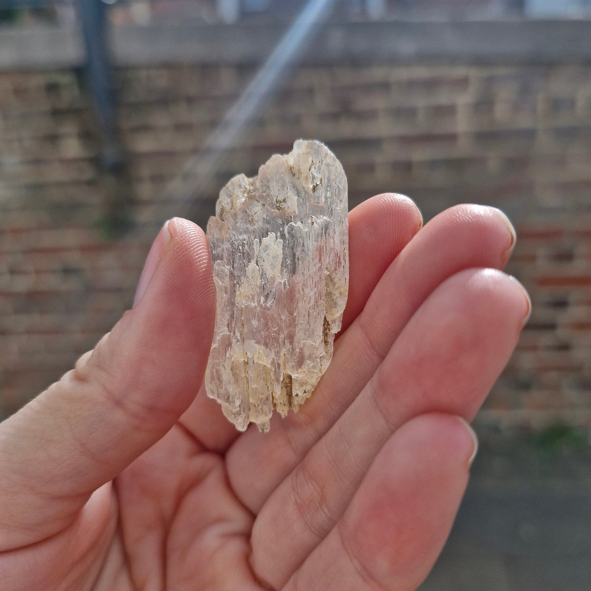 Kunzite Raw Specimen 17g