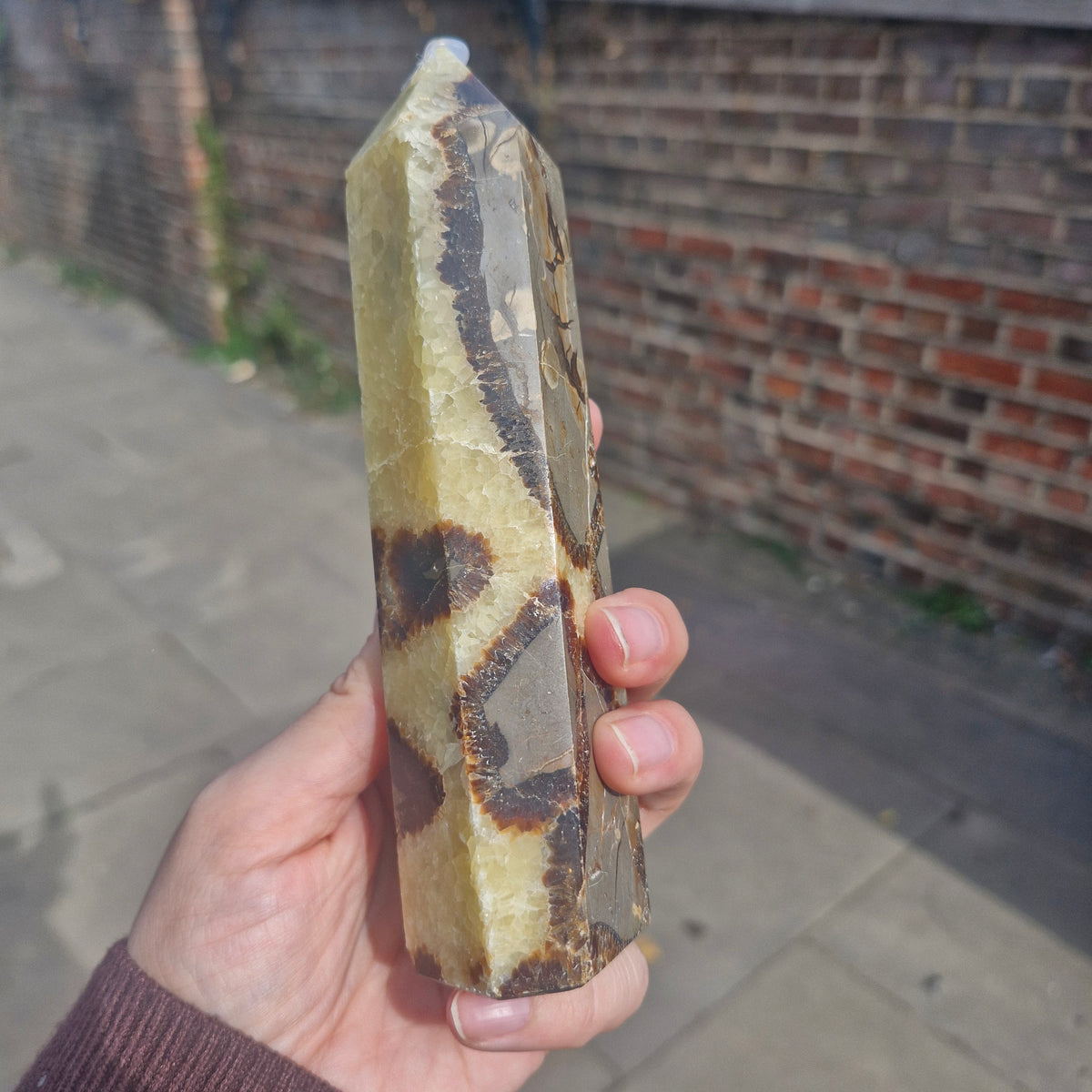 Septarian Chunky Tower 16cm 426g