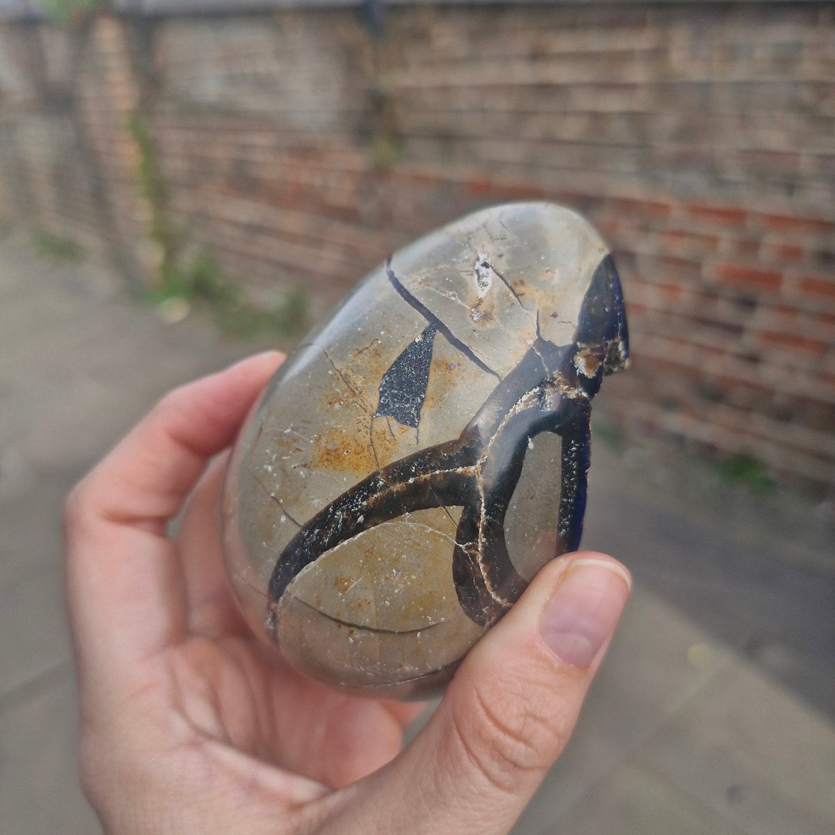 Septarian Geode Egg with Calcite Inclusions 391g