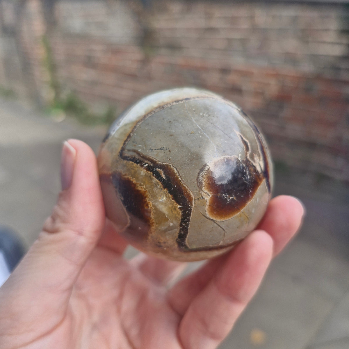 Septarian Sphere 270g 6cm