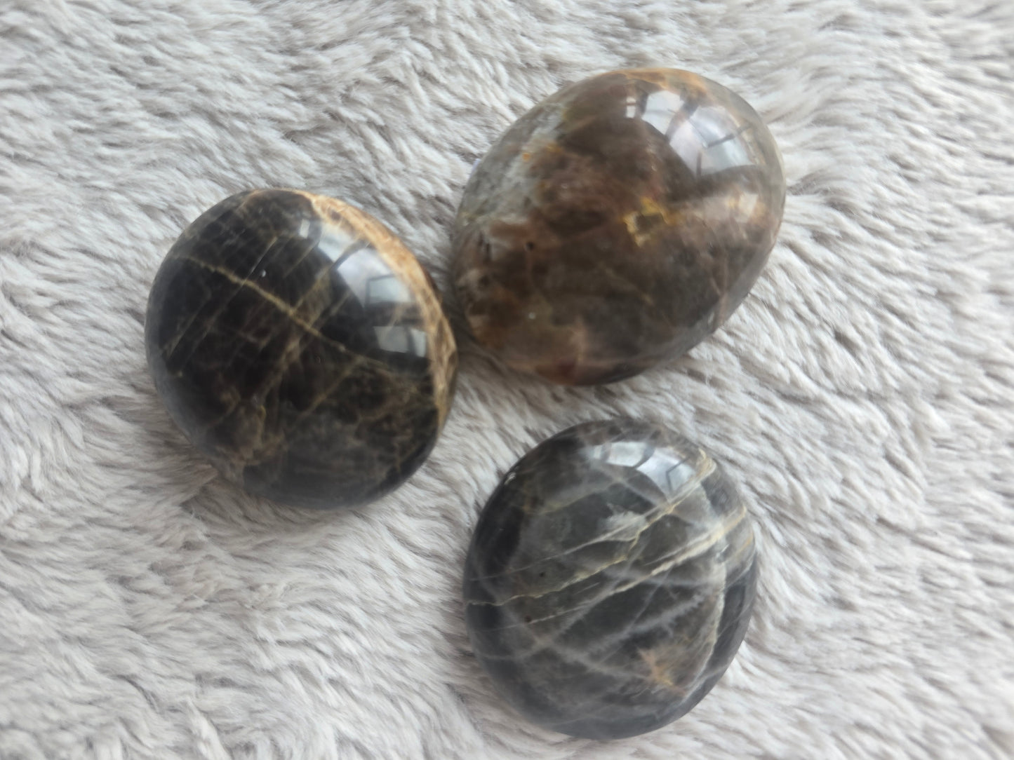 Black Moonstone mini palms