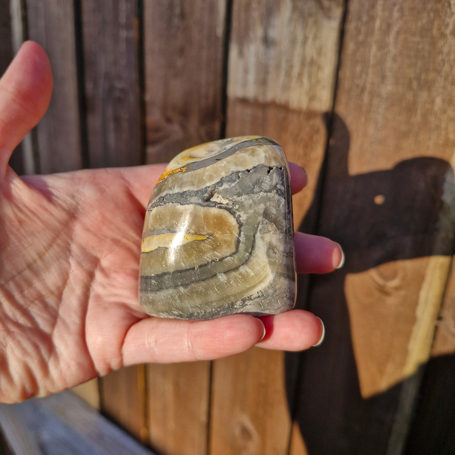 Bumblebee jasper freeform