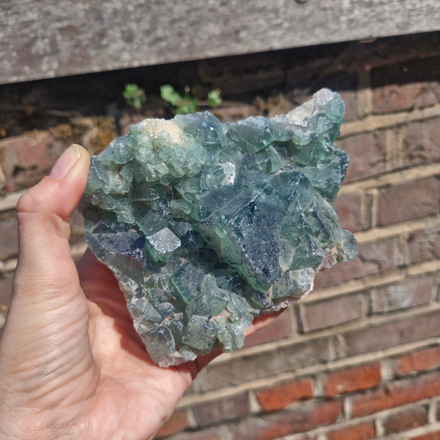 UV fluorite mineral specimen