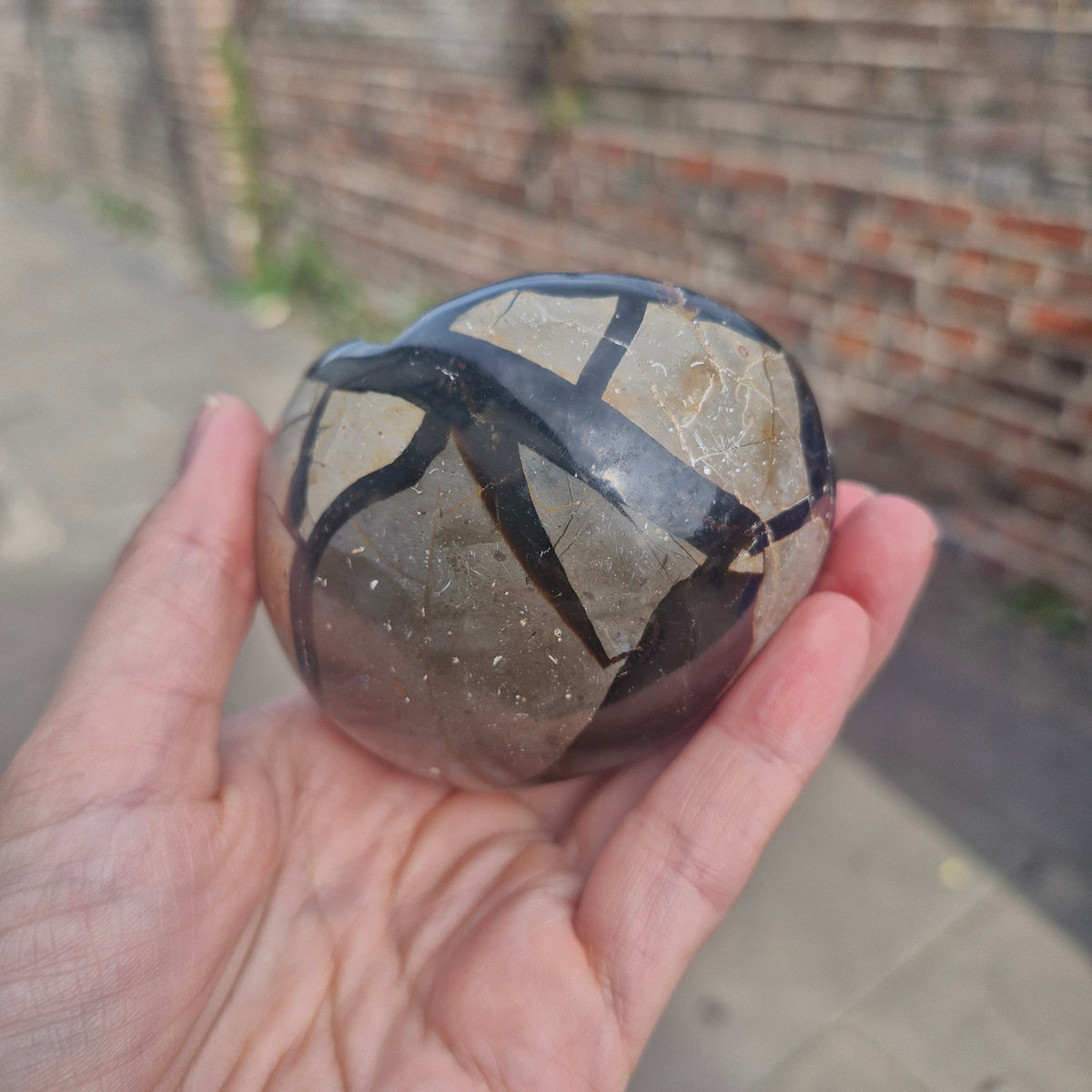 Septarian Geode with Calcite Inclusions 265g