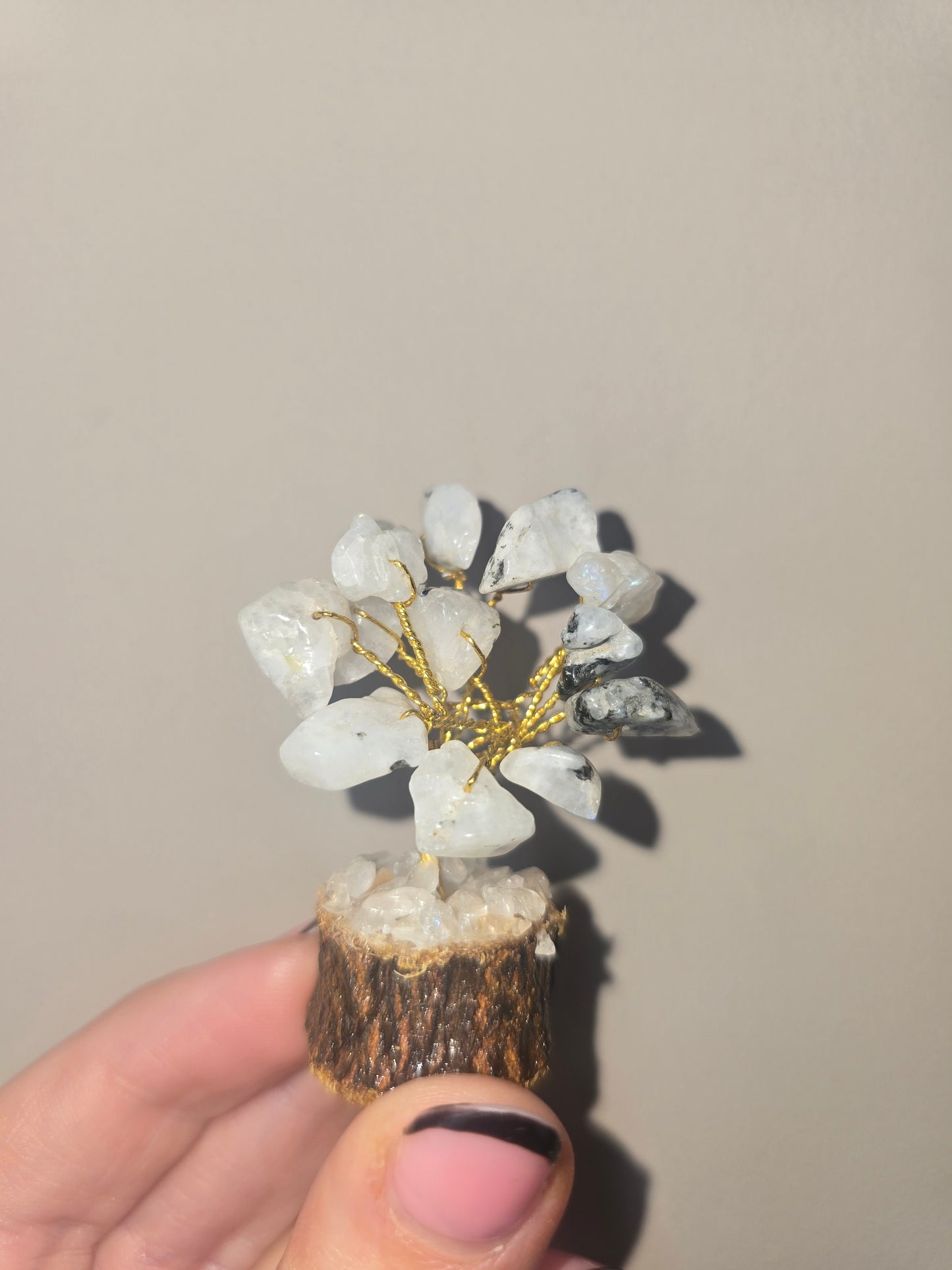 Mini moonstone tree - 2inch