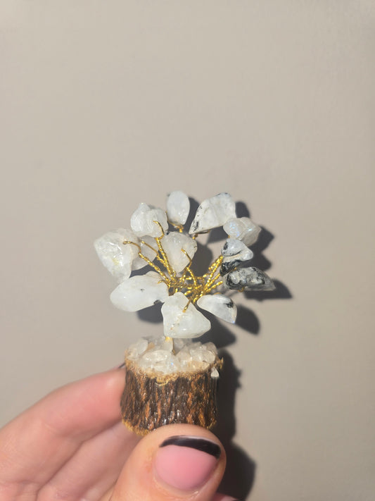 Mini moonstone tree - 2inch