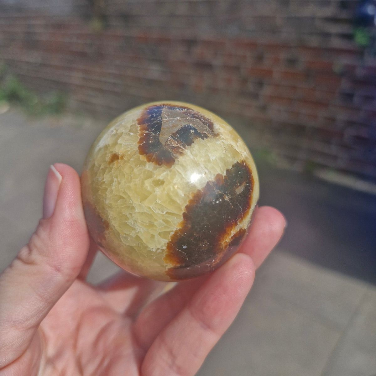 Septarian Sphere 216g 5.5cm