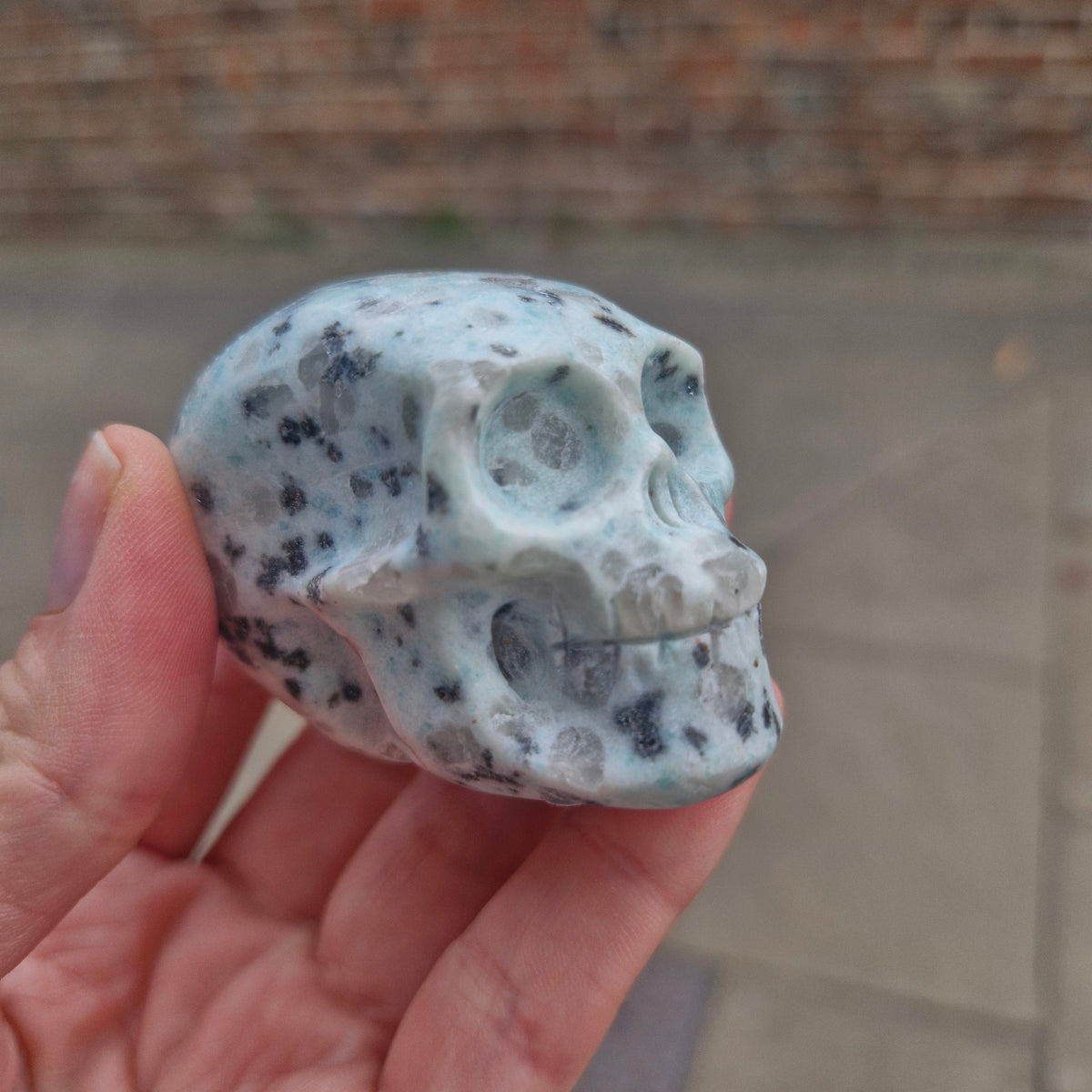 Kiwi Jasper Skull 121g
