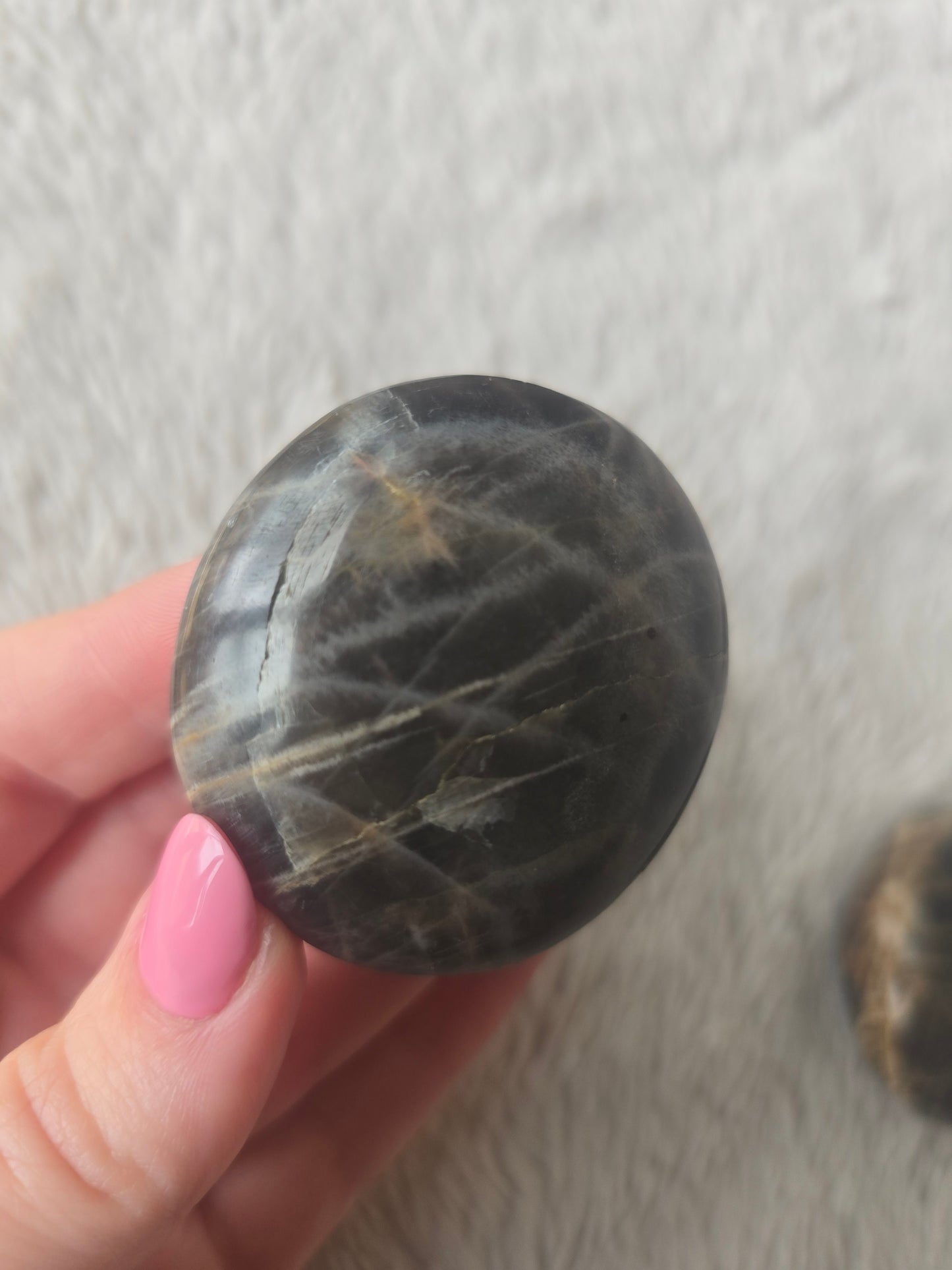 Black Moonstone mini palms