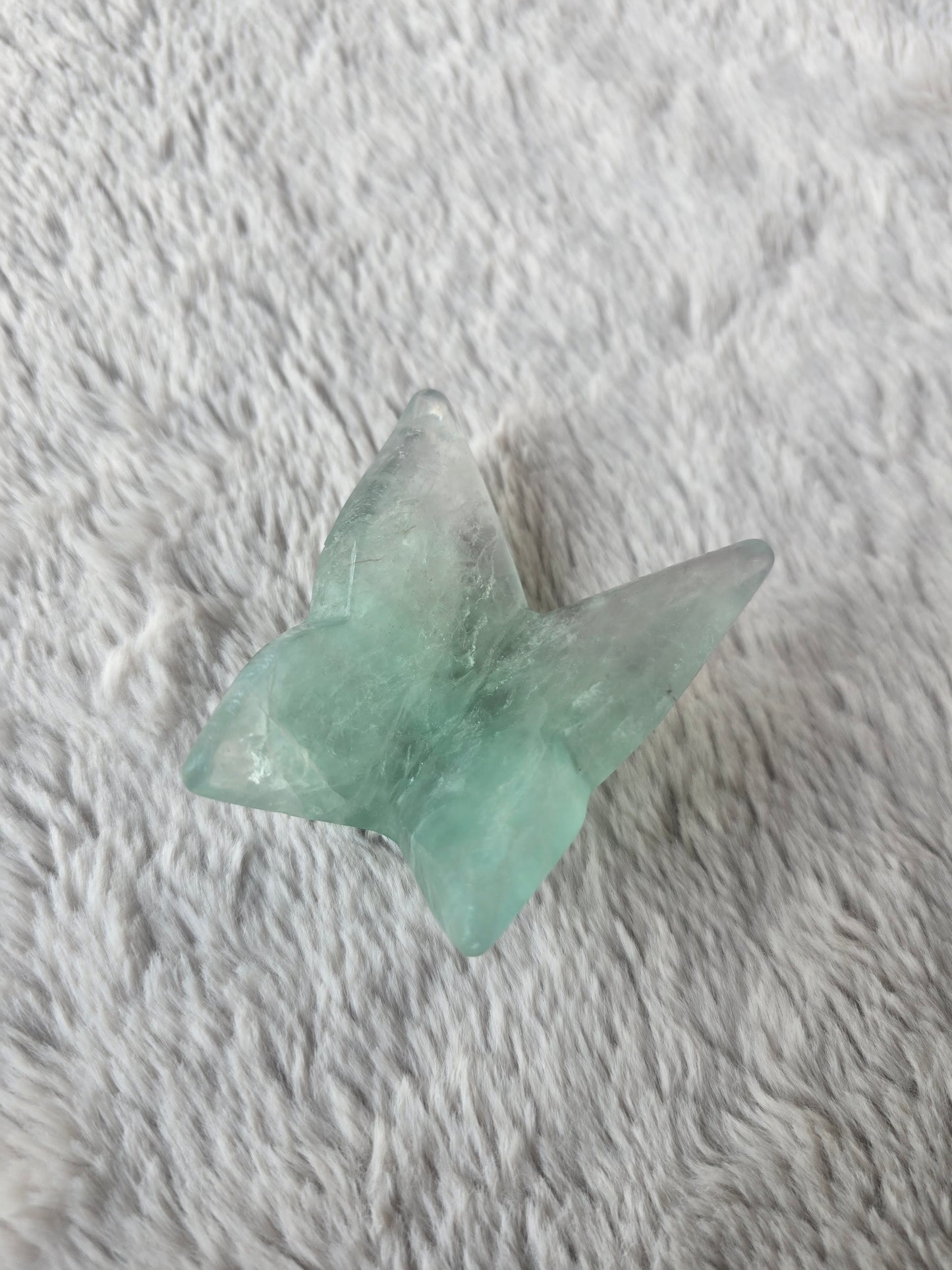 Fluorite butterfly