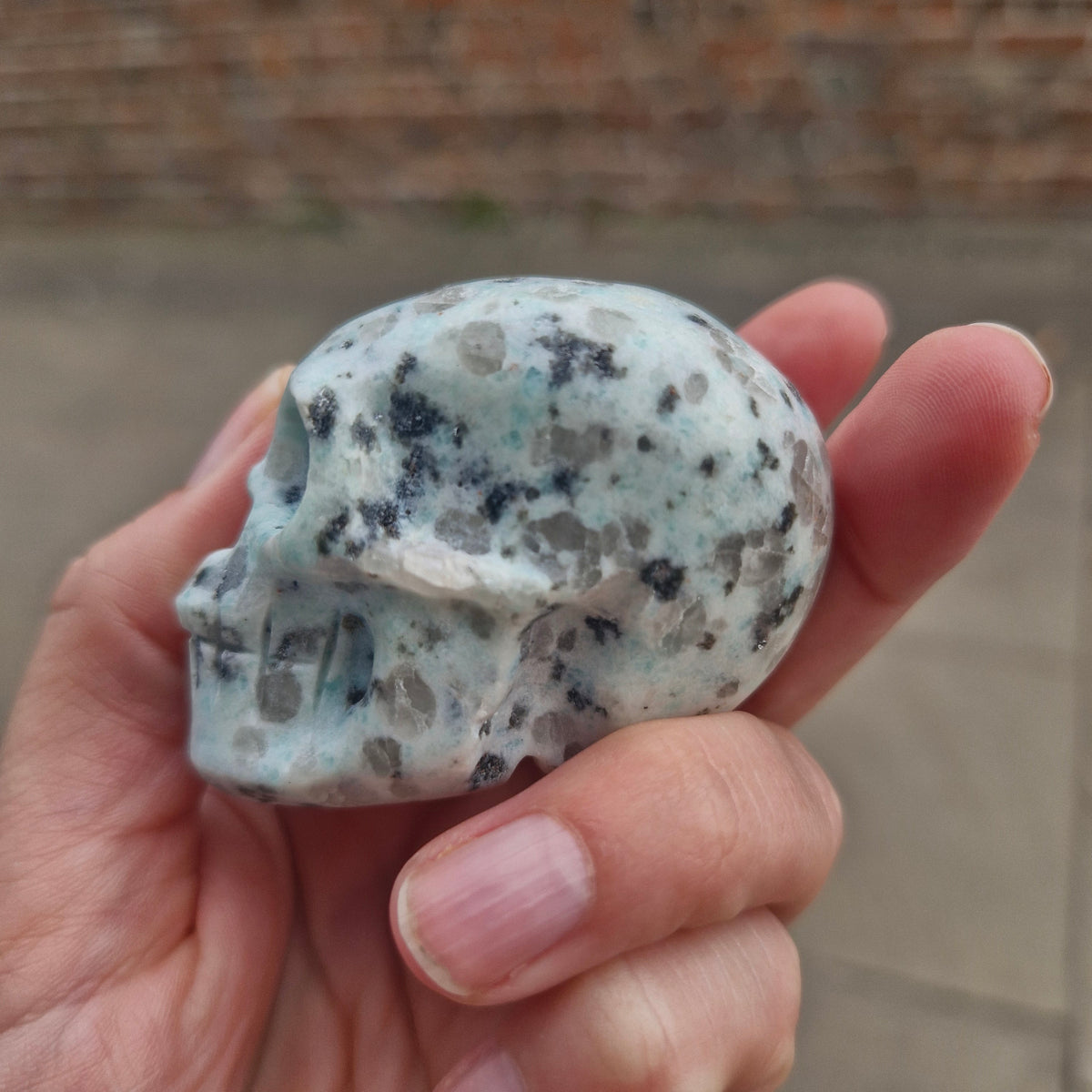 Kiwi Jasper Skull 121g