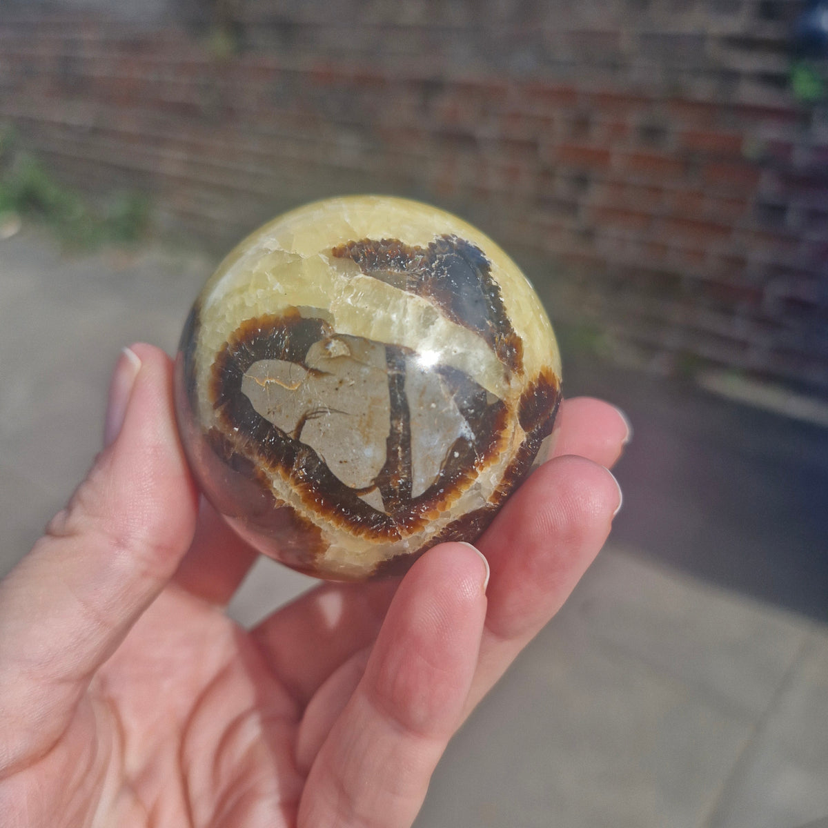 Septarian Sphere 216g 5.5cm