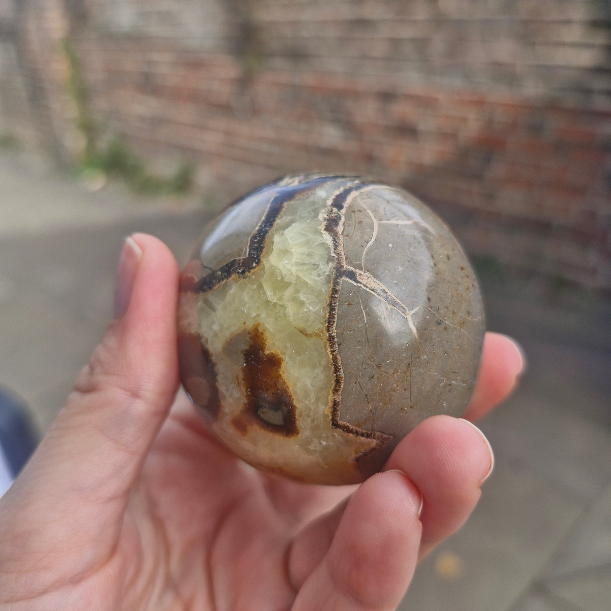 Septarian Sphere 270g 6cm