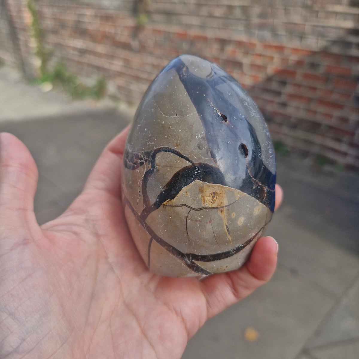 Septarian Cut Base Free Standing Geode Egg with Calcite Inclusions 420g