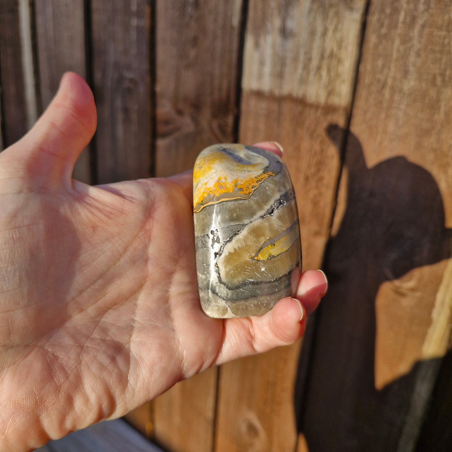 Bumblebee jasper freeform