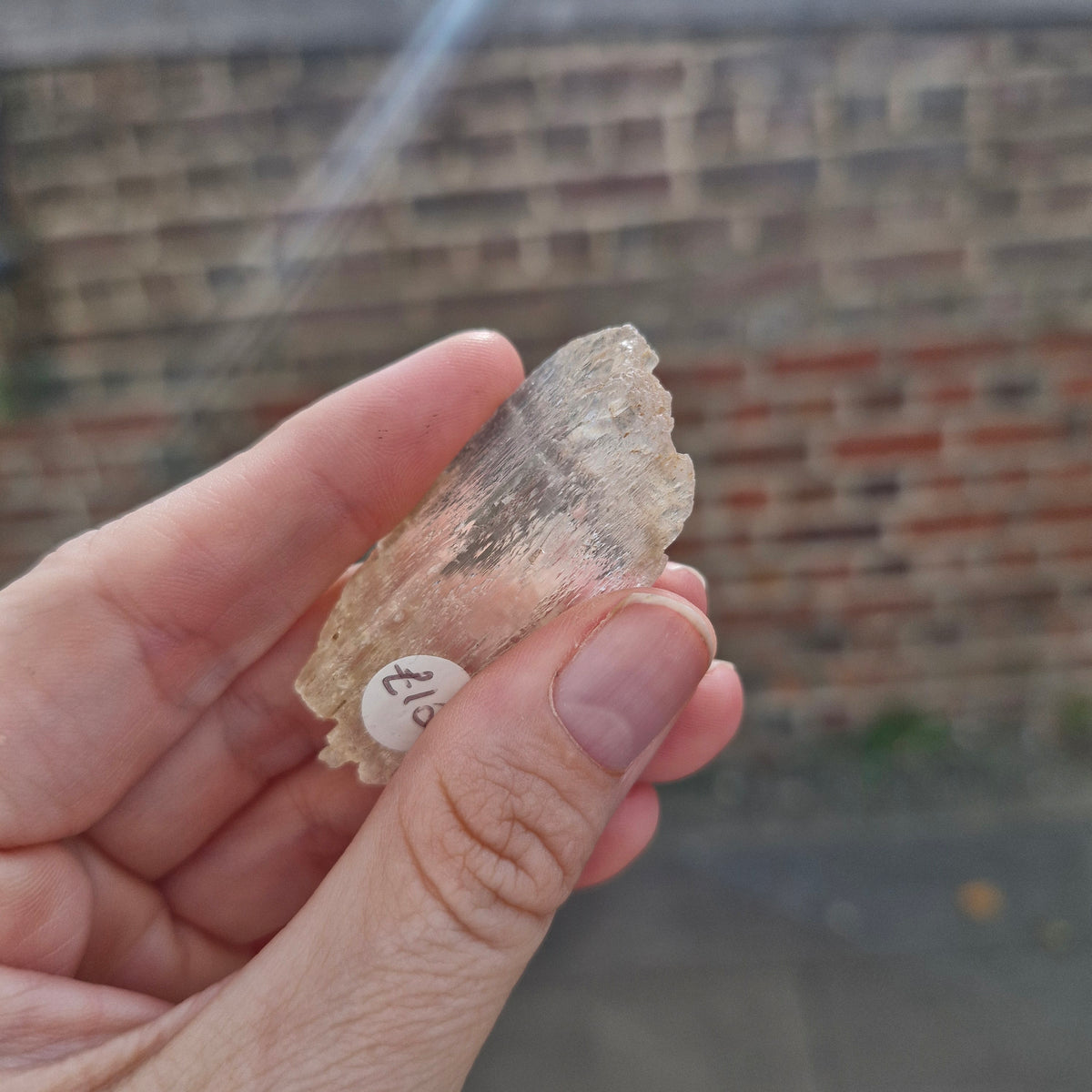 Kunzite Raw Specimen 17g