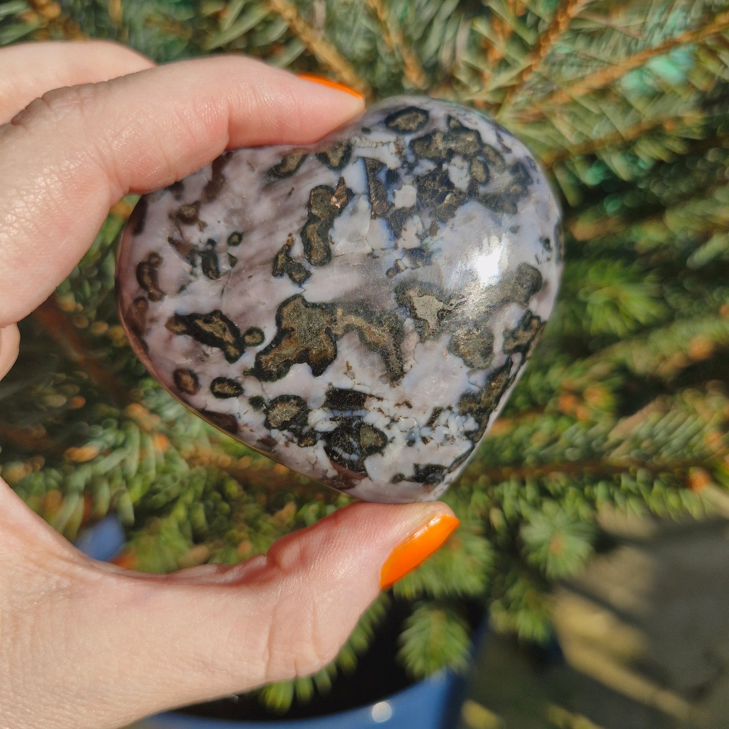 Indigo Gabbro Hearts