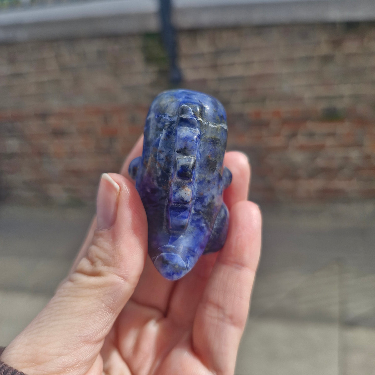 Sodalite Chubby Dinosaur Carving