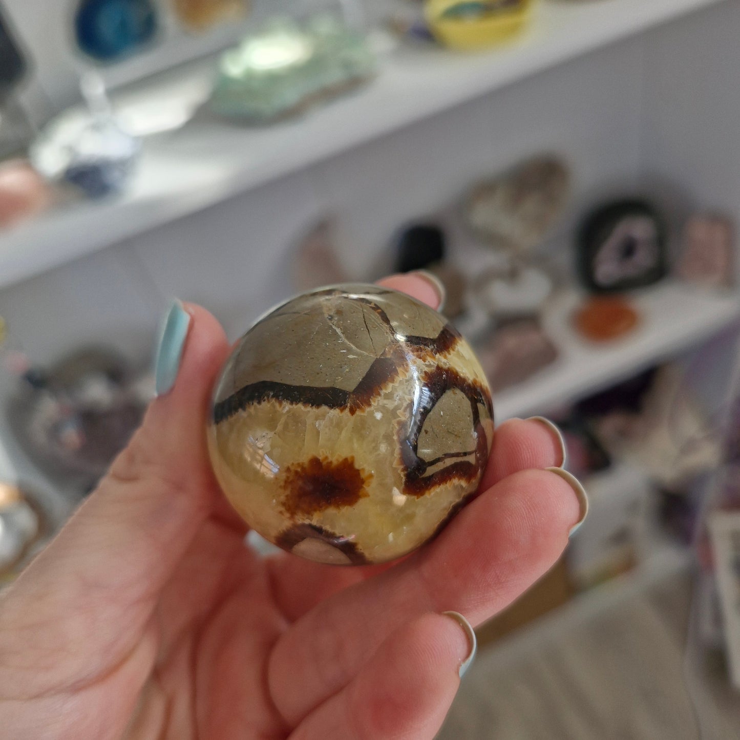 Septarian sphere