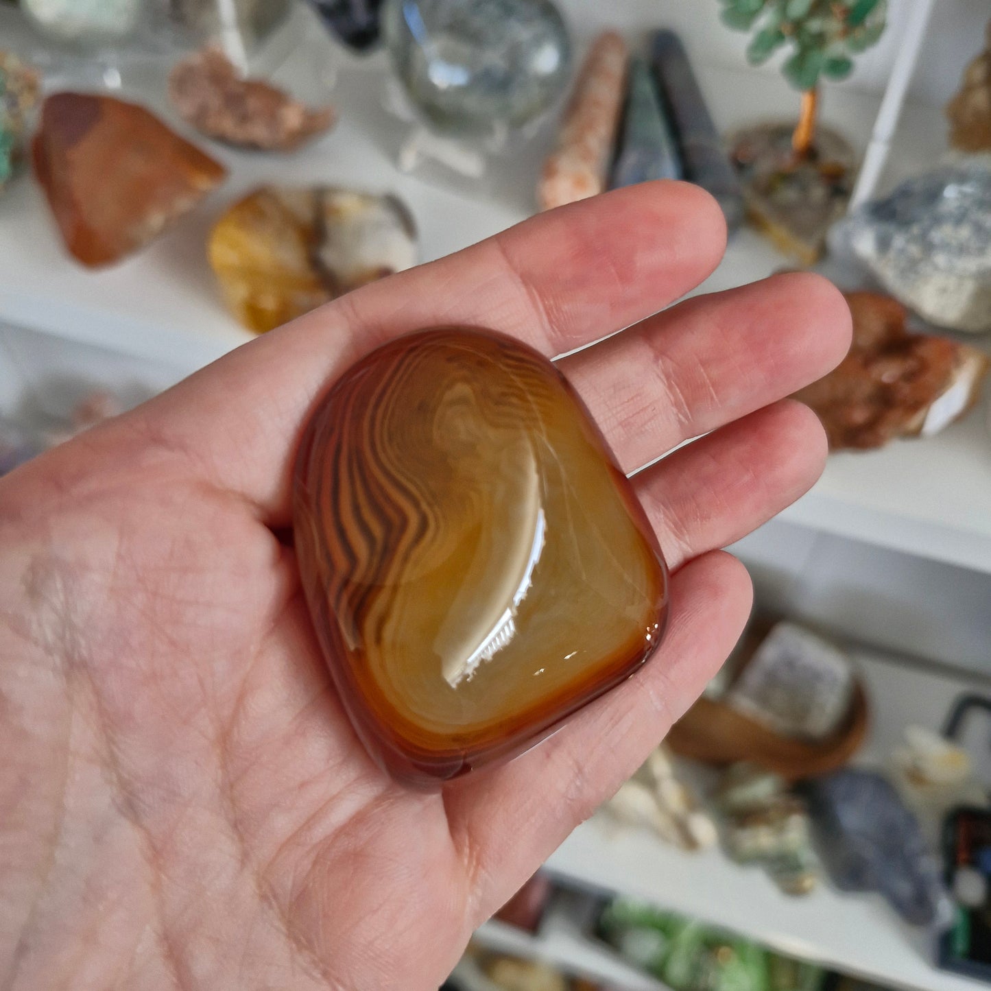Sardonyx palm stones/ mini palms