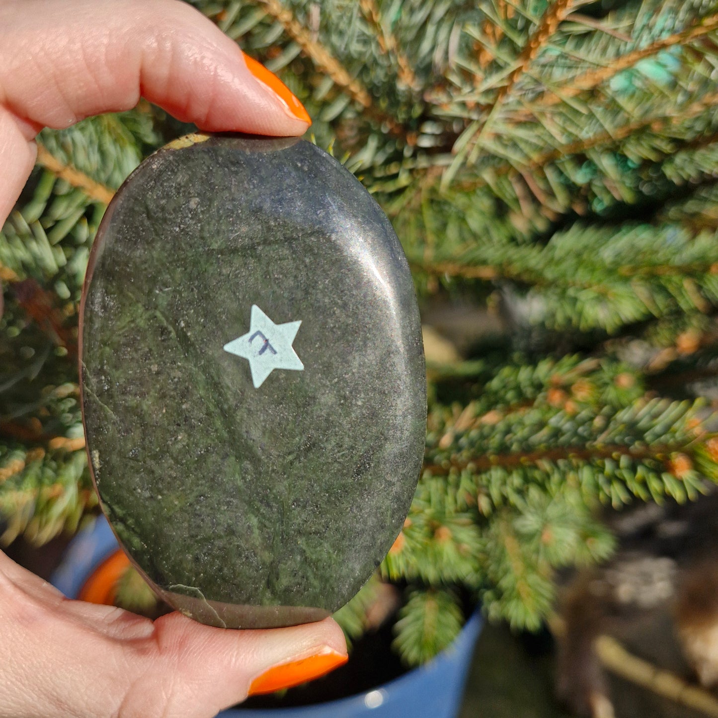 Serpentine flat palmstone