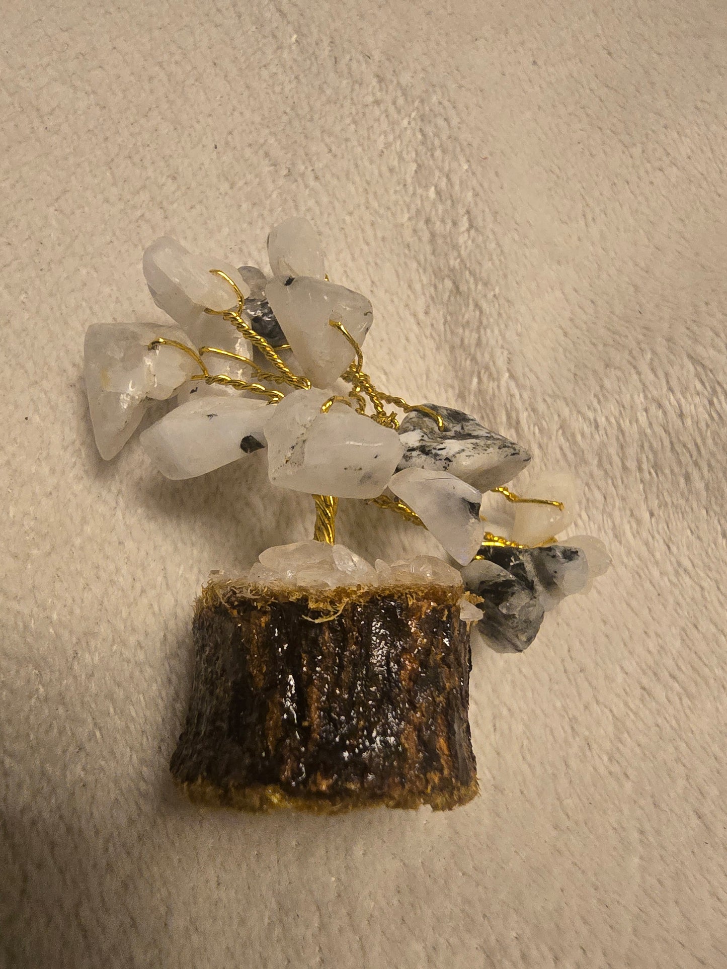 Mini moonstone tree - 2inch