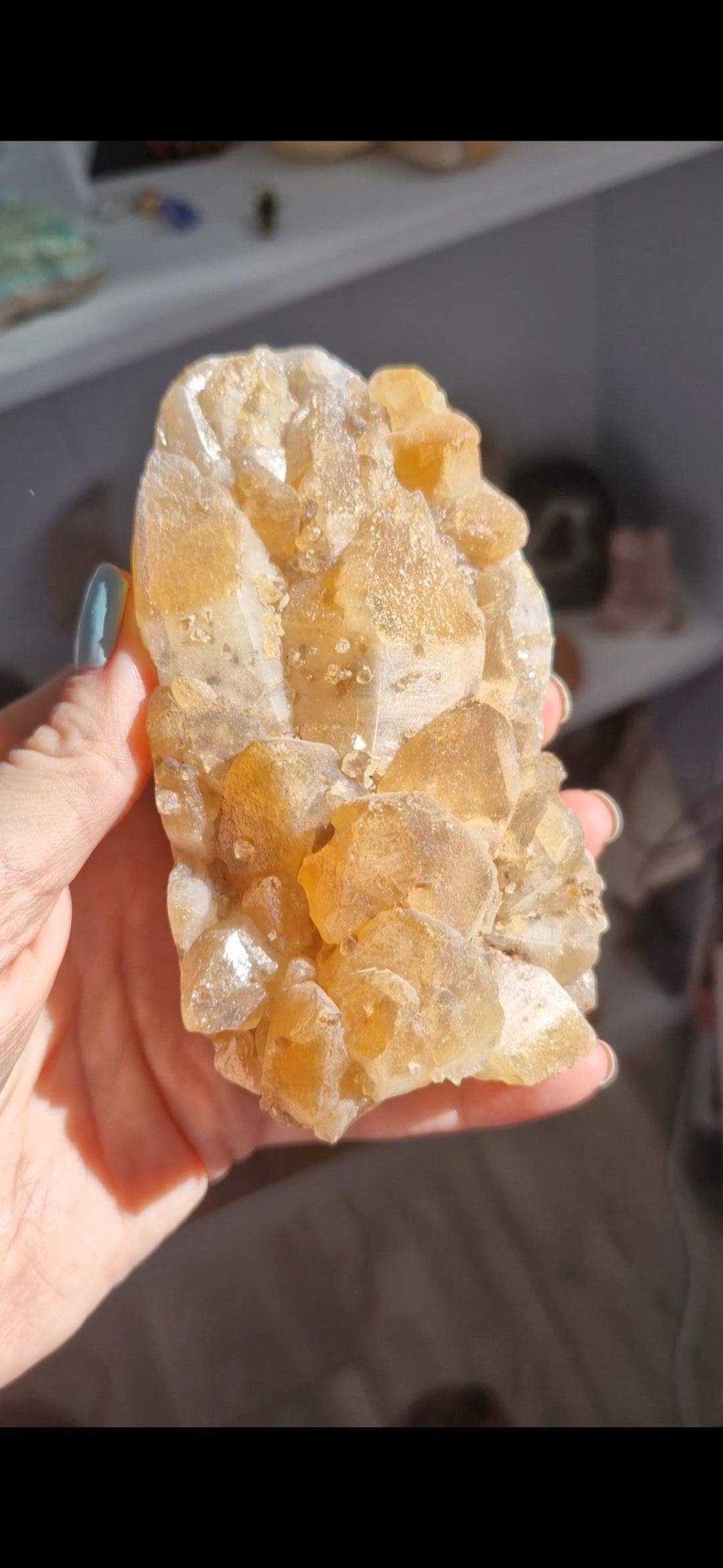 Citrine giant druzy geode