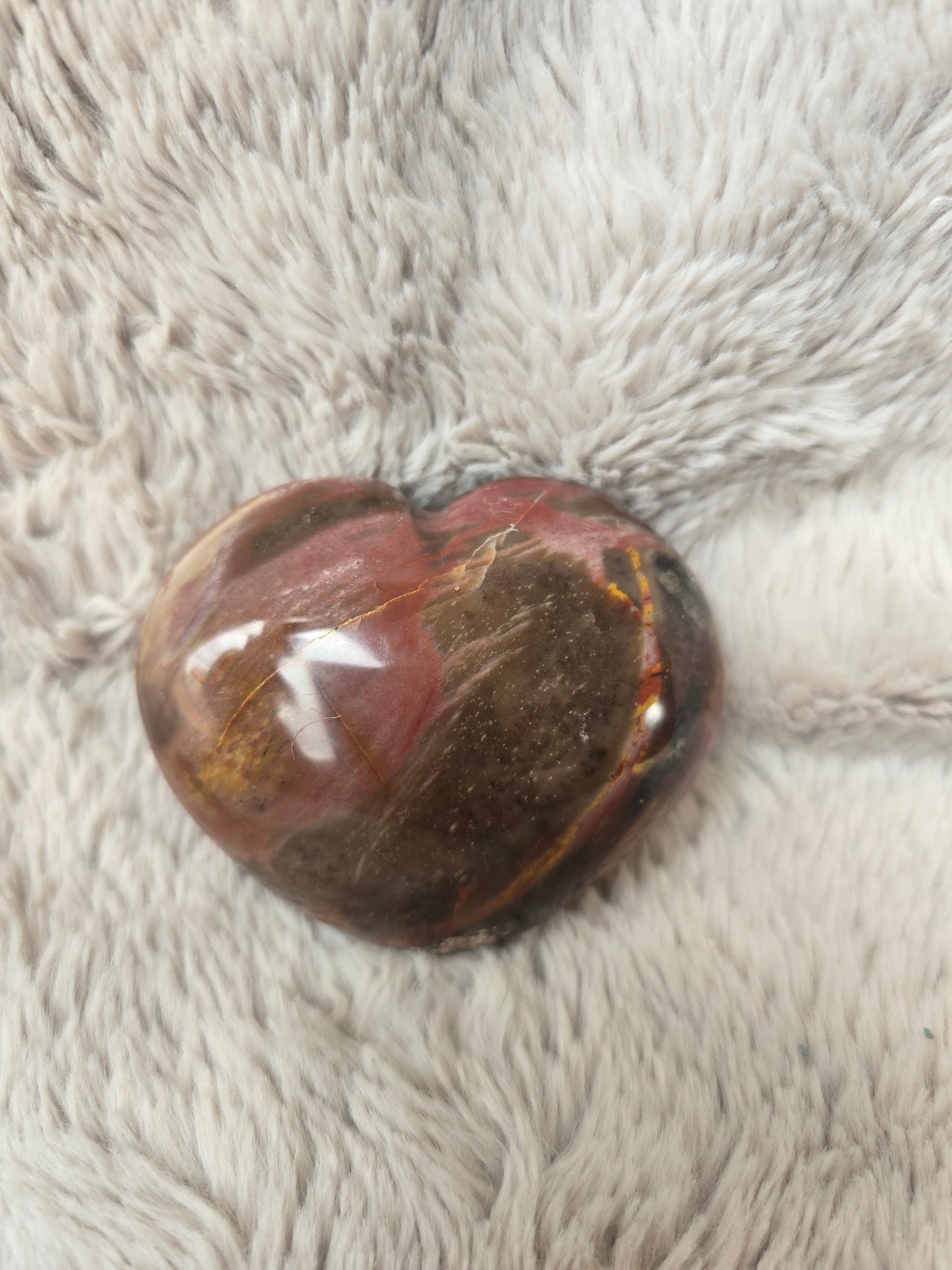 Polished petrified wood heart