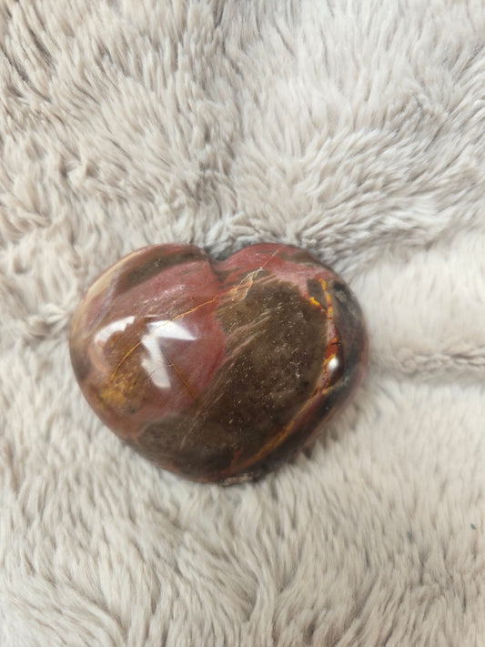 Polished petrified wood heart