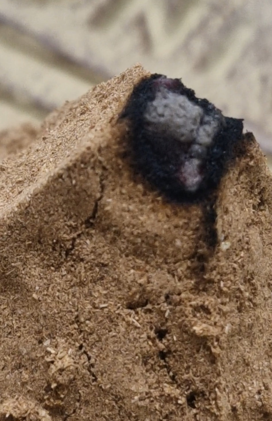 Frankincense incense powder