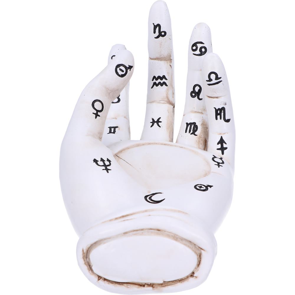 Palmist's Prediction (White) 18.3cm